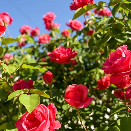 Atlas Apartment Jajce